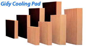 giay_cooling_pad