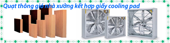 quat_hut_nha_xuong_ket_hop_giay