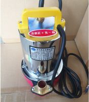 Máy bơm thả chìm vỏ gang Super Win DC 24V